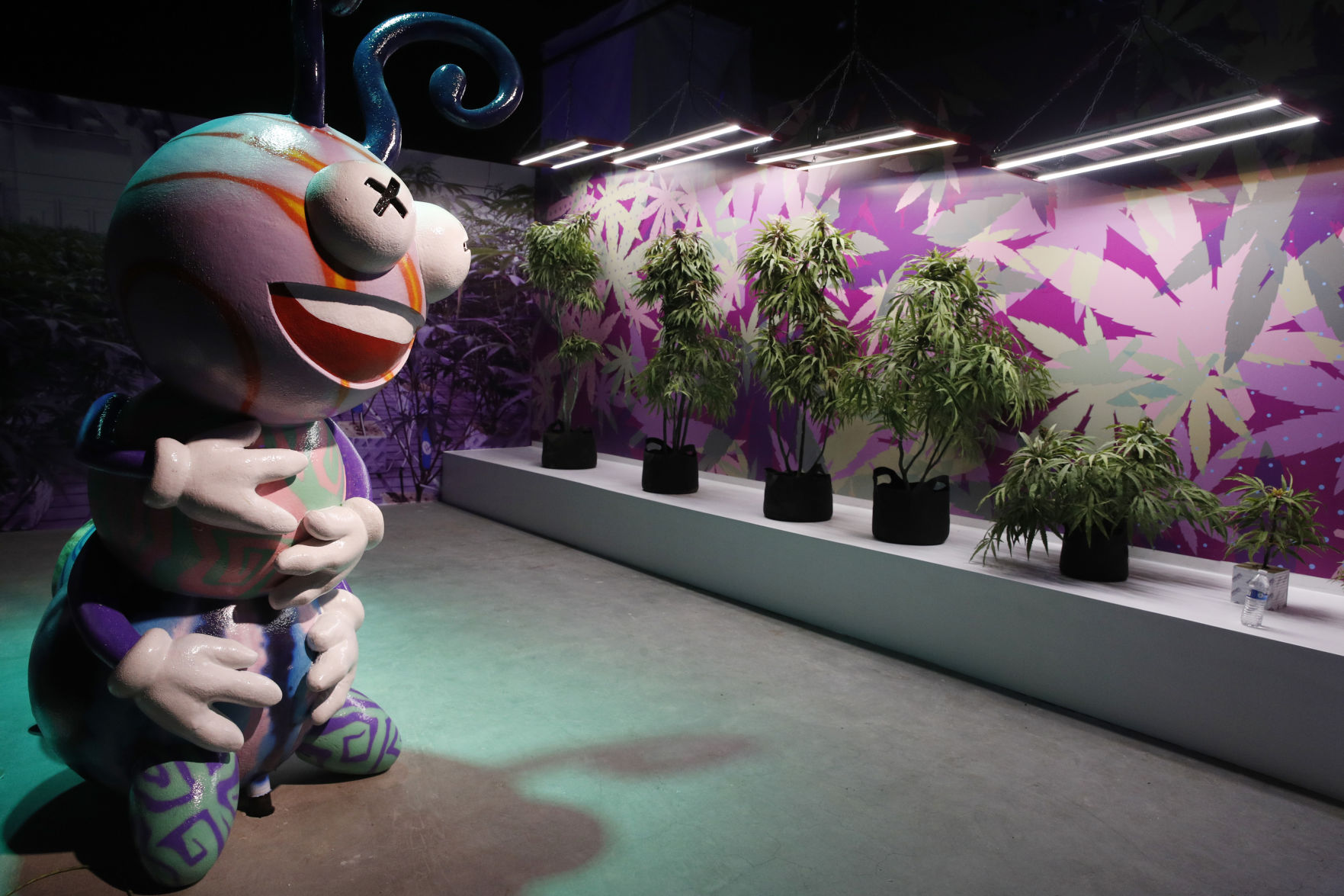 Marijuana Museum